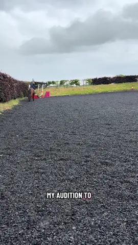 All it takes is a follow and a like!! I will even follow you back if you let me know you followed in comment 🫶 #fyp #equestrian 