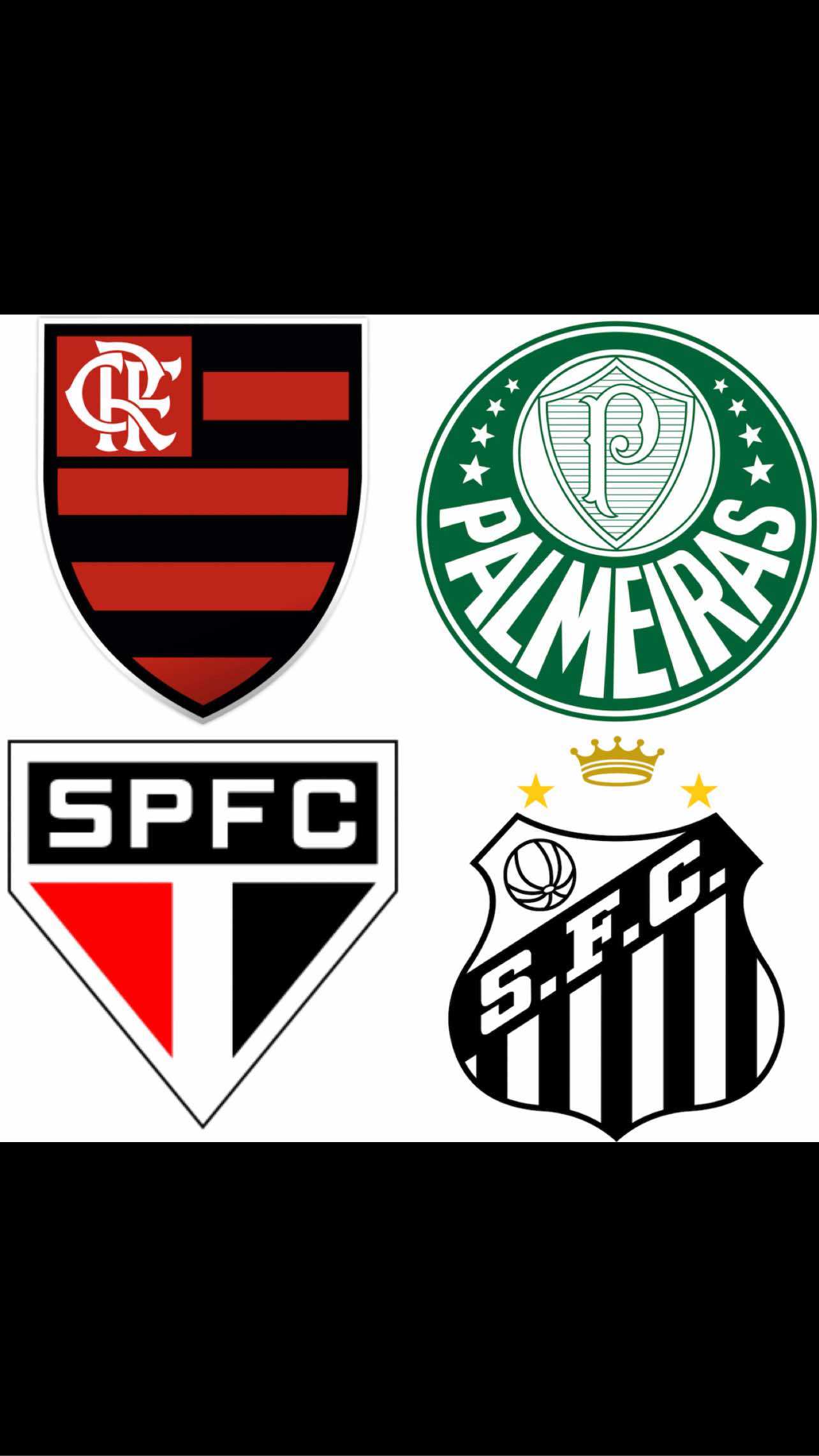 Cuál es el equipo más grande del fútbol brasileño?  #futbol #brasil #libertadores #flamengo #palmeiras 