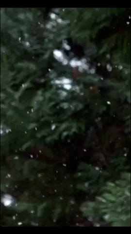 #içerik #gülümse #🥀🤍 #hisler #duygusal 