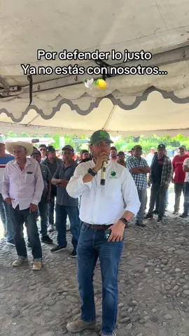 DEP Berna Bravo 🕊️