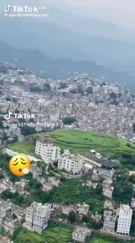 افدي تربيك ي اليمن