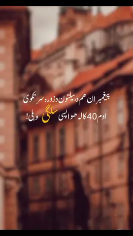 part 09 | ᴀᴅᴀᴍ 40 ᴋᴀʟᴀ ʜᴀᴡᴀ ᴘsɪ sᴀʟɢɪ ᴡᴀʜᴀʟɪ ☹️ #foryoupage #pashtopoetry #foryou #viralvideo #xyzbcafypシ 