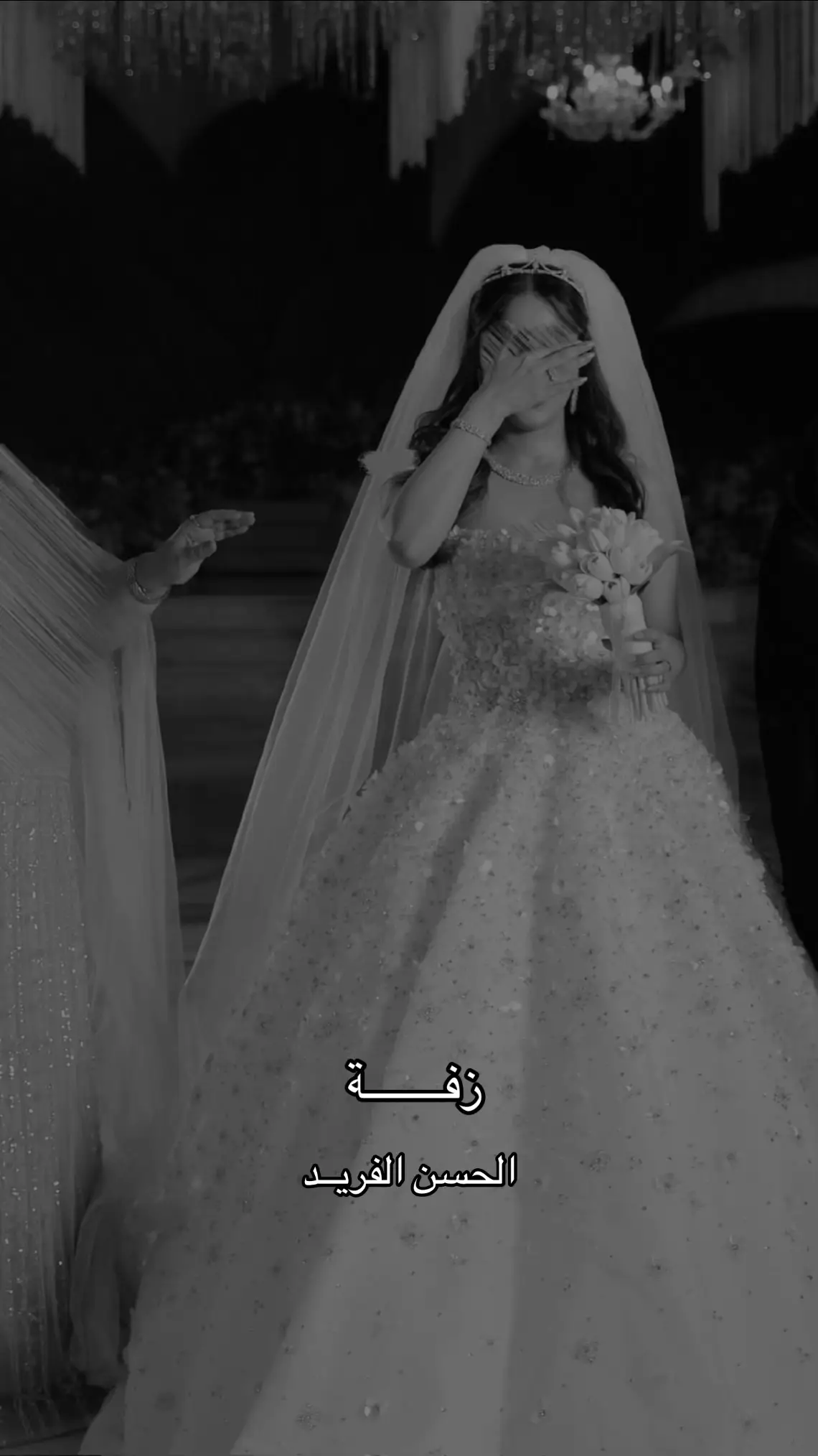 #زفه_عروسه #زفات_ماجد_المهندس_بدون_حقوق #زفات_راشد_الماجد_بدون_حقوق #زفات_2024_محمد_عبده #حسين_الجسمي  