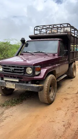 #campo#toyota#4x4#ganado#viral 🐂