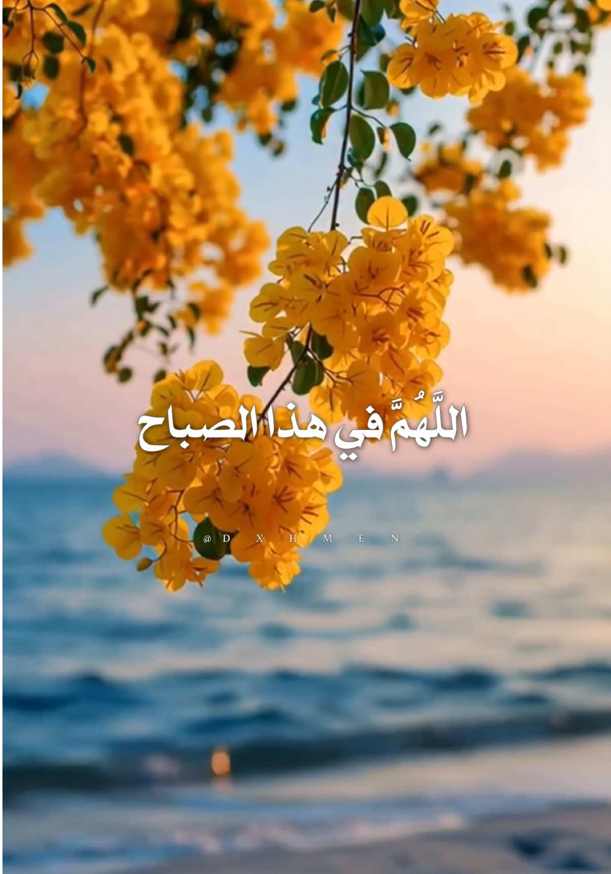 اللهم في هذا الصباح  حصن قلوبنا من هموم الدنيا  #اللهم_لك_الحمد_ولك_الشكر #اللهم_امين_يارب_العالمين #صباح_الخير #صباحكم_أحلى_صباح #دعاء_الصباح 