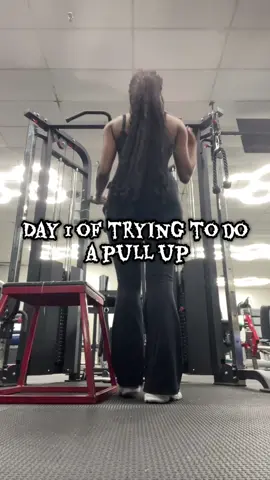 Why is it so hard to do?!(please give some tips) #fyp #gym #pullup 