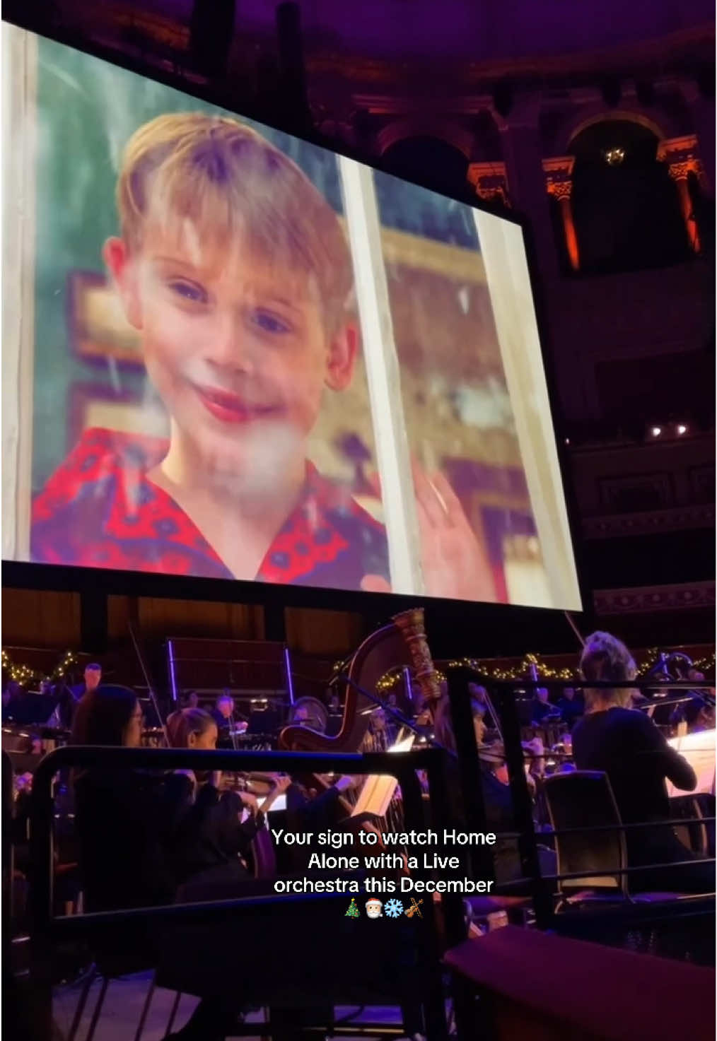 Your sign to book this Christmas #liveorchestra #homealone #royalalberthall #fyppppppppp #christmas 