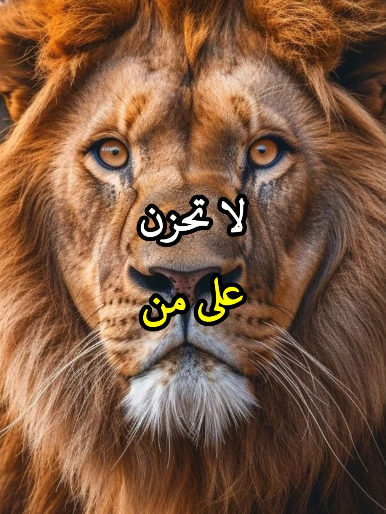 من يتغير عليك فجاة👉 فقد كشف لك قيمته الحقيقية👌 #اقتباسات #حكمة #خواطر #اكسبلور #نجاح #علم_النفس #تطوير_الذات_علم_النفس #كلام_من_ذهب #اطمئن #اقتباسات_عبارات_خواطر #تحفيزات_إيجابية #fyp #explore #viral_video #psychology #motivation