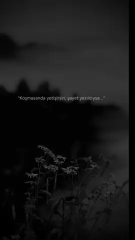 #keşfetteyizzz 