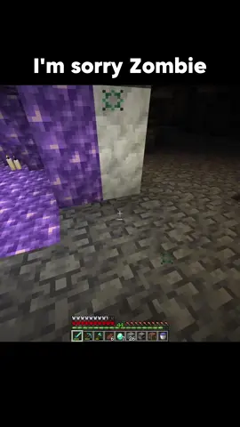 I didnt mean to… 💔 #Minecraft #minecraftmemes #minecraftmeme 