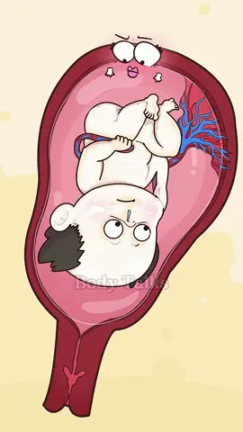That White Coating on Babies, What Is It? #animation #shorts #funny