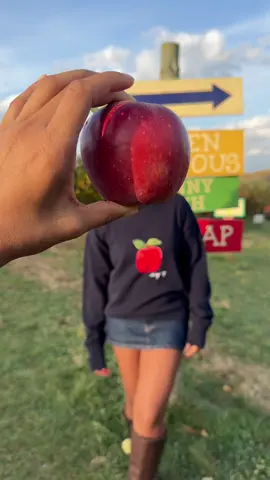 POV the girlies went apple picking  #nycapplepicking #applepicking #applepickingseason #applepickingoutift 