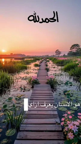 #الحمدلله_دائماً_وابداً 📿🤎