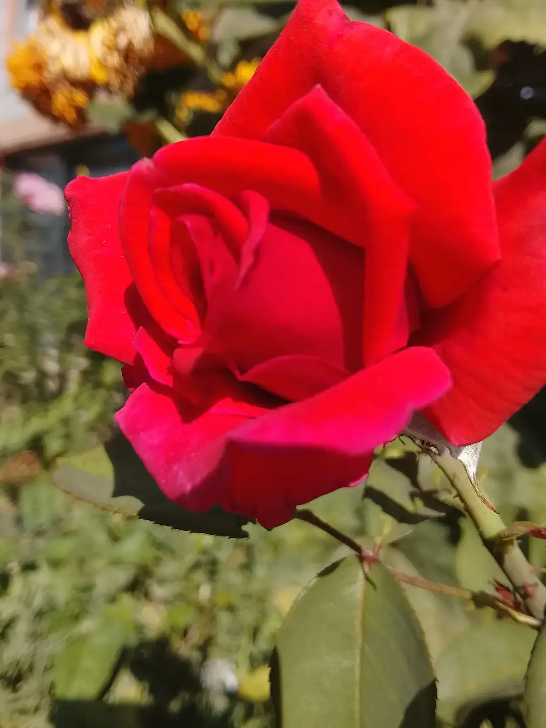 اناشيد دينية #متابعه_ولايك_واكسبلور_فضلا_ليس_امر #اعادة_النشر🔃_عملولي_اكسبلور🤗 #متابعه_ولايك_واكسبلور_فضلا_ليس_امر #اعادة_النشر🔃_عملولي_اكسبلور🤗 #تعليقاتكم_لايك_كومينت_اكسبلور 