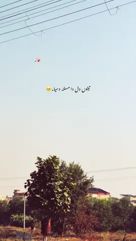 اے کوئی گل اے۔!🥹❤️‍🩹🌿 #foryou #foryourpages #poetry #aesthatic #poetrystatus 