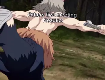 Everyone being rude or mean to nezuko meanwhile mitsuri is being nice and respectful to her like what #nezukokamado #mitsurikanroji #kimetsunoyaiba #demonslayer #silly 