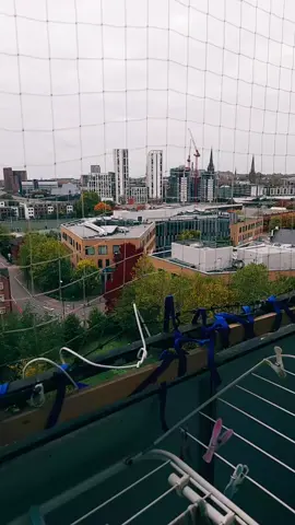 #tiktoklive #livehighlights