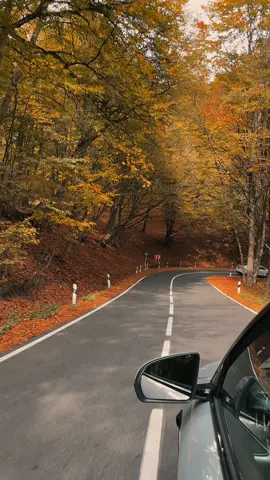 📍Dilijan National Park #autumn #դիլիջան #fall #armenia #dilijan 