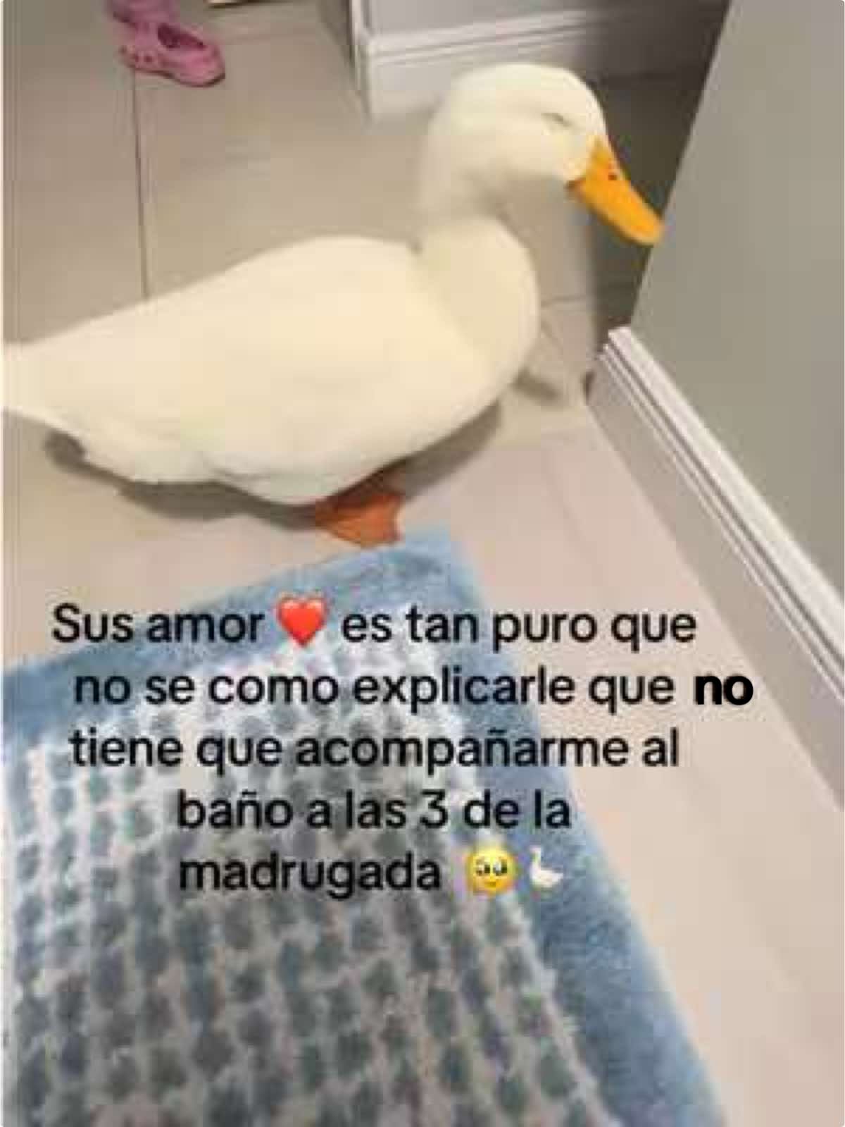 #viralvideo #amorpuro #luka #paraty 