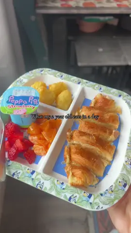 What my 2 year old son eats in a day 😌🤍 #kidsmeals #kidsmealideas #mealsforkids #Foodie #fyp 
