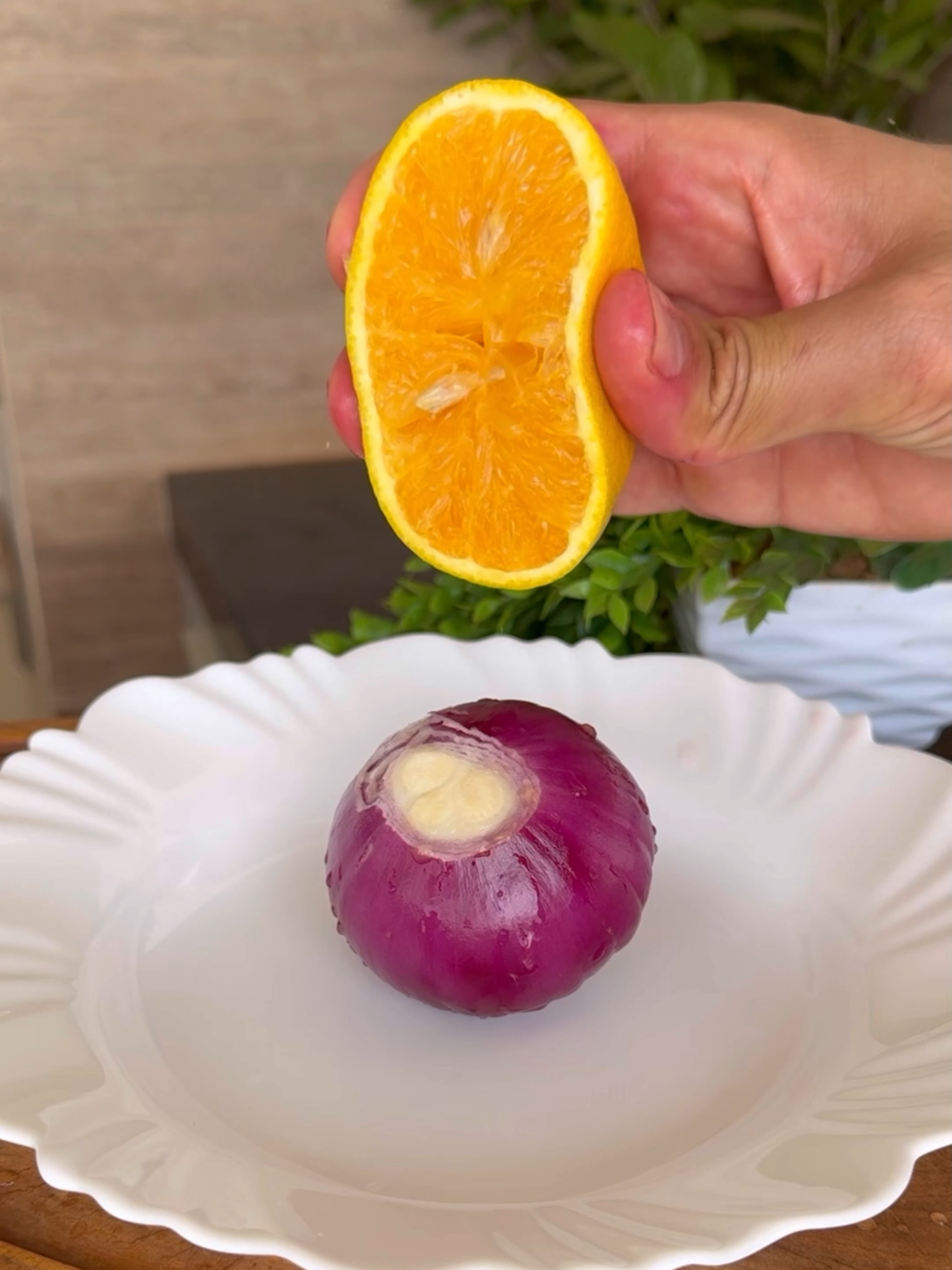 Coloque LARANJA na CEBOLA