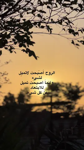 دور فزعتك ركضتك اختك 💔. #مجتبى_الكعبي  #اكسبلور  #اكسبلورexplore  #العراق  #البصره_شط_العرب 
