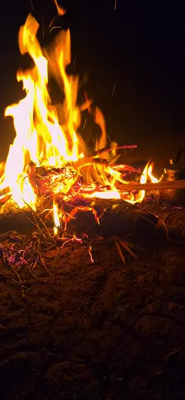 #راحه_نفسيه #بدرة #