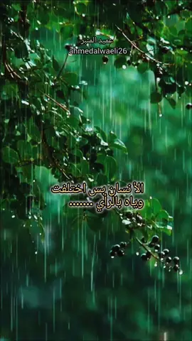 الشيخ احمد الوائلي رحمه الله 🤲  #احمدالوائلي_روح_المنبر_الحسين #الوائلي #احمدالوائلي_رحمه_الله☹️ #الشيخ_الوائلي #احمدالوائلي_رحمه_الله 
