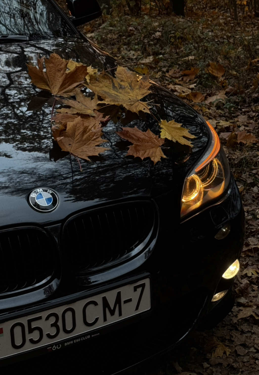 #bmw #e60 