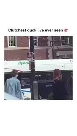 A live love story 😅 #hoodclips #funny #viral #fyp #usa  