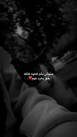 #لایکو_کۆمێنت_فۆڵۆلەبیر_ #ئەکتیڤبن🥀🖤ـہہـ٨ــہ #وتــــەکــــانــــم🖤🕊️ #fypシ゚viral🖤tiktok #foryou 