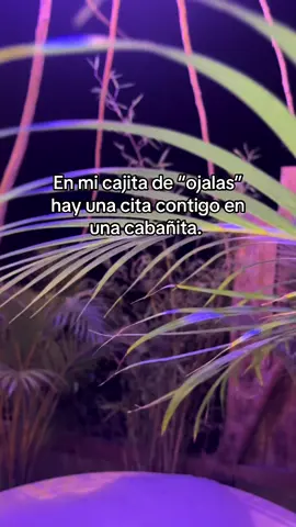 Tú y yo en un Glamping, disfrutando de un baño de espuma.  #cabañas #colombia #hotel #glamping 