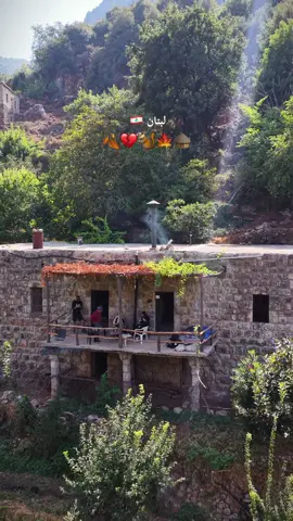 #lebanon #nature #takehikelb 