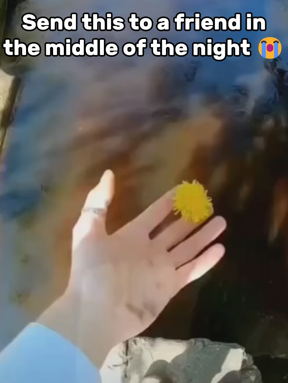 Out now! Get 10% off when you sign up on our NEW website! - - -  #clothingbrand #streetwear #fashion #skit #funnyvideo #publicinteractions #influencer #transition #clothingbrandowner #vira #trending #explor #displayclothingco