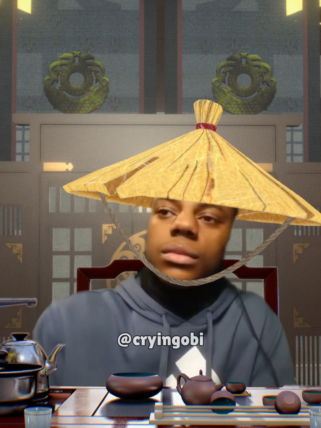 IShowSpeed my mom is kinda homeless (chinese version) #fyp #cryingobi #edit #edits #memestiktok #brainrot #unemployment #china #chinese