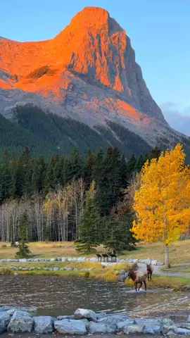 #nature #paisagemmusical #landscape #naturezaperfeita