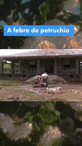 #novelasbrasileiras #cortesdenovelas #fo #cravoearosa #redeglobo 