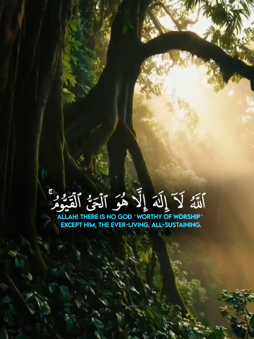 آية الكرسي 🌿 | القارئ عبد الرحمن السديس #آية_الكرسي #القرآن_الكريم #تلاوة #عبدالرحمن_السديس #يكسبلور 