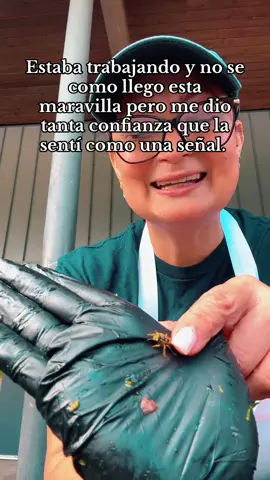 #LIVEIncentiveProgram #LIVEMonetization #PaidPartnership #nemimarortiz #yosoynemimar 