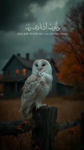 #يارب_فوضت_امري_اليك #اذكروا_الله #اللهم_صلي_على_نبينا_محمد #يارب_فوضت_امري_اليك #قران_كريم_ارح_سمعك_وقلبك♡ 