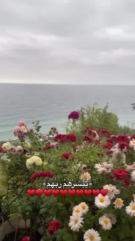 رسالة لك ❣️#اكتب_شيء_تؤجر_عليه🌿🕊 #قران_كريم #صدقة_جارية #استغفرالله #اكسبلور 