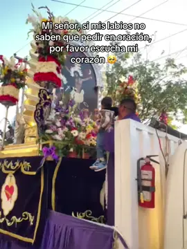 Cuando el resto solo escuchaba y le daba igual, tu y yo sabemos lo que paso, pasa y pasará. Que se haga tu voluntad 🙏💜 #mesmorado #procesion #señordelosmilagros #octubre #babyboy 