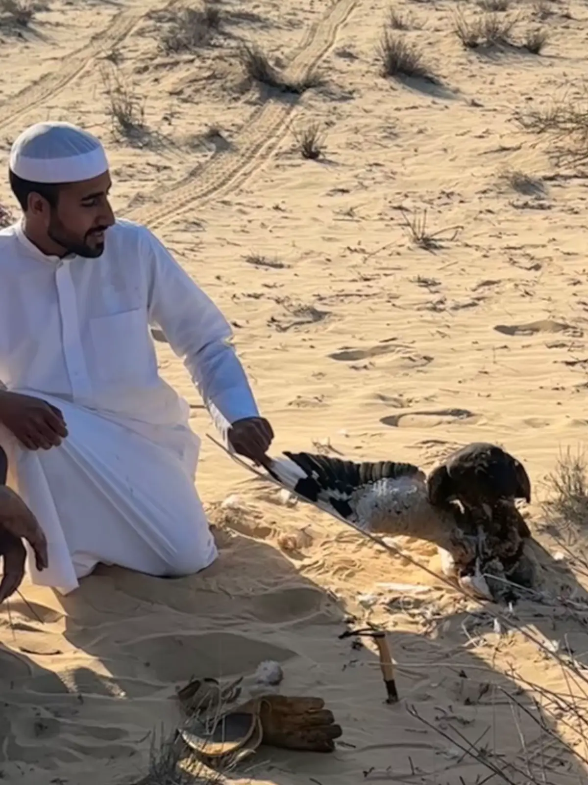 عقاب السعد 🪶 15-10-2025