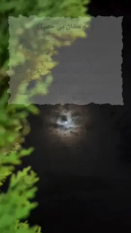 (إِنَّهُ كَانَ بِي حَفِيًّا) إِلَهِي كُنْ بِنَا حَفِيًّا، فَإِنَّ الْقُلُوبَ إِلَيْكَ تَحِنّ، وَالنُّفُوسُ لِرُوحِ قُرْبِكَ تَأْنَس، وَالرُّوحَ لِرِضَاكَ تَتَوَقّ  فَلَا تَحْرِمْنَا نَفَحَاتِ لُطْفِك. اللَّهُمَّ إِنَّكَ كُنْتَ بِعِبَادِكَ لَطِيفًا خَبِيرًا، فَكُنْ بِنَا حَفِيًّا تَرْعَانَا بِرَحْمَتِك ، وتُحِيطُنَا بِلُطْفِك،  وَتُسْبِغْ عَلَيْنَا  مِنْ كَرَمِكَ وَحِفْظِكَ، فَإِنَّكَ أَرْحَمُ بِنَا مِنْ أَنْفُسِنَا #foryou #fyp #fypシ #viral 