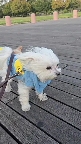 ❤️❤️❤️❤️❤️