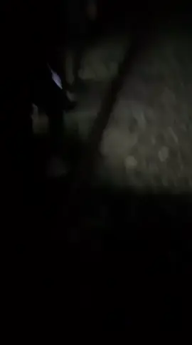 #🔴 لحظة #تسليم هشام الوهراني من الشعب إلى قوات الدرك الوطني 🇩🇿🫡 🔴 فرحة الشعب الجزائري اليوم كثر من فرحة التأهل إلى كأس العالم#dzpower  #انس_الشاييب #الجزائر 