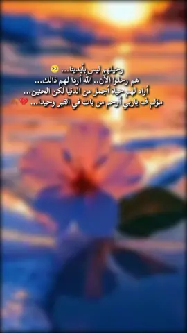 #إكسبلور #خواطر #كلام_من_ذهب #رحمك_الله_يا_أبي_الغالي 