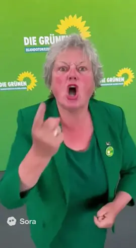 #grüne #bundestag #wahlen #co2 