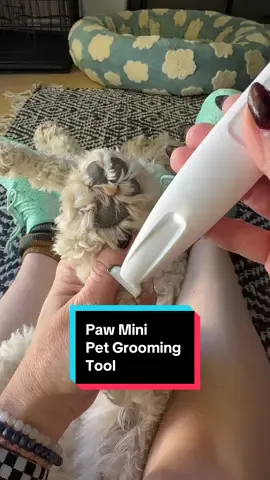 If you need a miniature pet grooming tool, that is excellent for grooming around your pets eyes or on your dogs. Paws, this could be the product for you. This grooming tool is small so you can get all of those hard to reach spots.  #petgrooming #dogsoftiktok #tiktokshopcreatorpicks #tiktokshopblackfriday #spotlightfinds