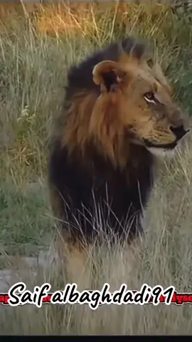 #لا_يهمني_من_يحبني_او_يكرهني  . . . . . . . #عبارات #كلمات #اقوال #اقتباسات @الشيخ طال عمره🕶️💰 @لحن الحياة @وجع القلب  @motivation 